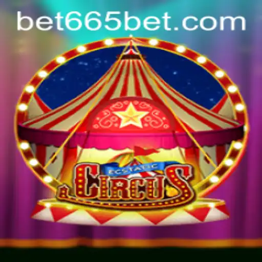 665bet Casino App